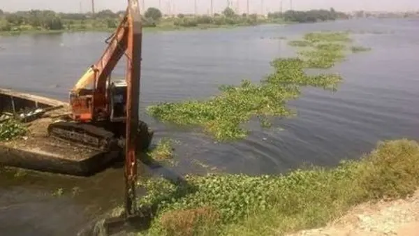 إزالة الحشائش المائية وورد النيل